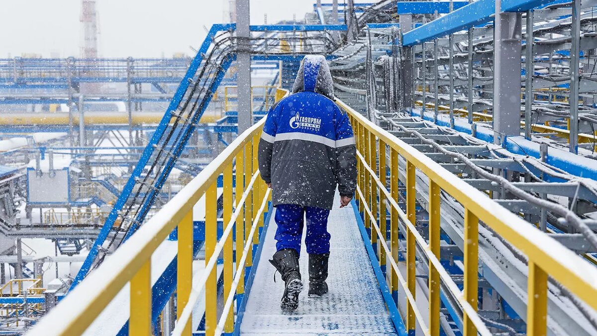 از خاموشی تا خودتامینی؛ نوکور چگونه ریسک انرژی را مهار کرد؟